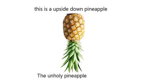 pineapple memes dirty|upside down pineapple meme.